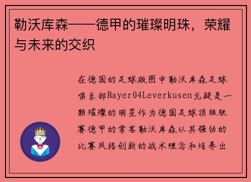 勒沃库森——德甲的璀璨明珠，荣耀与未来的交织